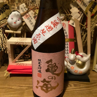 亀の海