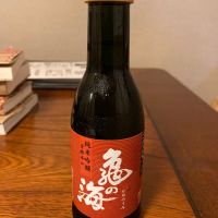 亀の海