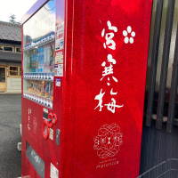 宮寒梅のレビュー by_dotdash