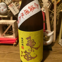 亀の海