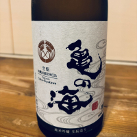 亀の海