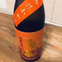 亀の海のレビュー by_くろーばー