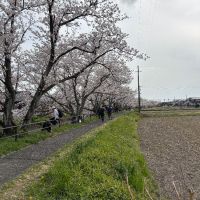 勲碧のレビュー by_くろーばー