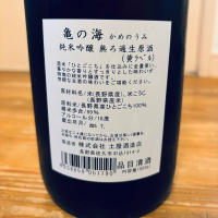 亀の海のレビュー by_くろーばー