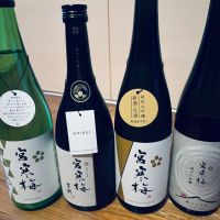 宮寒梅のレビュー by_くろーばー