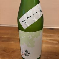 亀の海