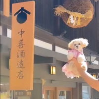 中乗さんのレビュー by_べっぷさん