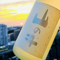 山の井