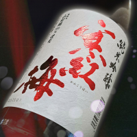寒紅梅