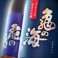 
            亀の海_
            べっぷさんさん