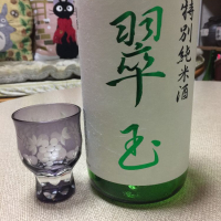 翠玉のレビュー by_Shigemitu Kawasaki