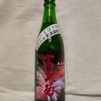 富美菊