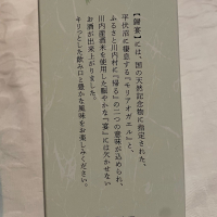 大和川のレビュー by_くさまくら