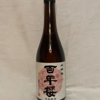 百年櫻