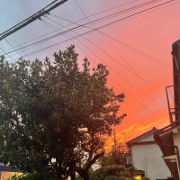 雲乃井のレビュー by_くさまくら