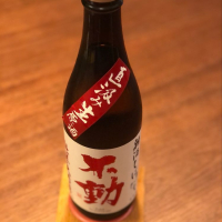 
            不動_
            きなこもちさん