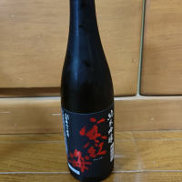 寒紅梅