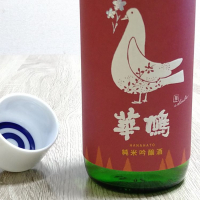 華鳩