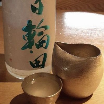 日輪田のレビュー by_ひさのこ