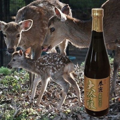 春鹿のレビュー by_ひさのこ