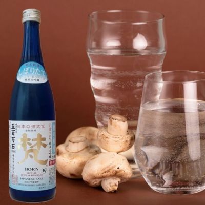 福井県の酒