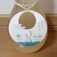 早瀬浦のレビュー by_ひさのこ