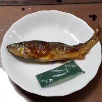 西條鶴のレビュー by_ひさのこ