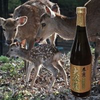 
            春鹿_
            ひさのこさん