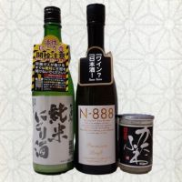 N-888のレビュー by_ひさのこ