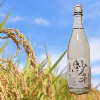 紗利のレビュー by_ひさのこ