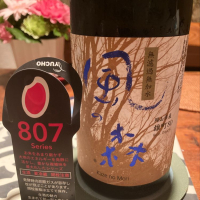 
            風の森_
            カナブンさん