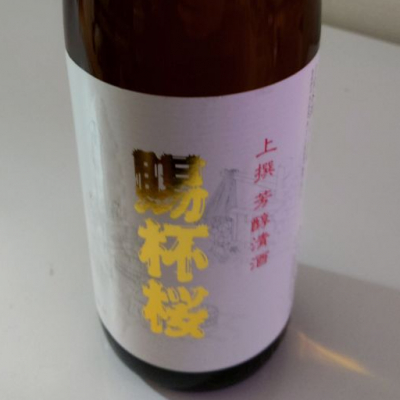 賜杯桜(しはいざくら) | 日本酒 評価・通販 SAKETIME