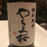 八千代桜 (やちよさくら) 日本酒 千葉 鍋店